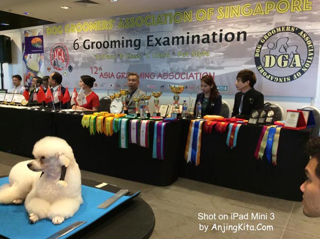 Grooming Examination by DGA & AGA