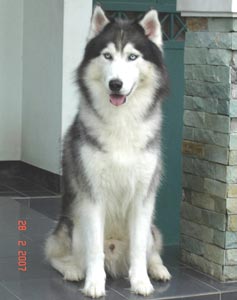 Alexis Von Aloha �Lexy�