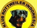 Pameran Rottweiler Semarang