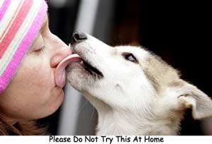 Bau Nafas Tak Sedap Pada Anjing