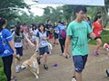 Liputan Fun Dog Run 2015 (Foto)