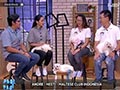 Cara Merawat Maltese Bersama Club Maltese