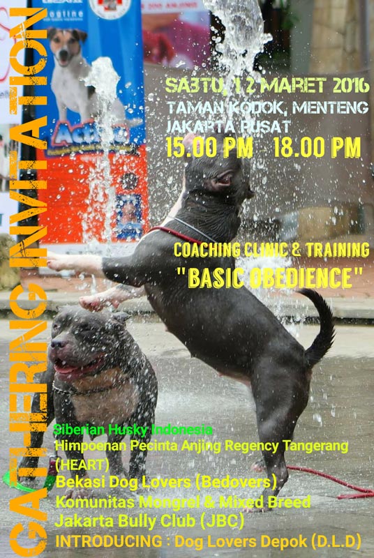 Jakarta Dog Lovers Gathering