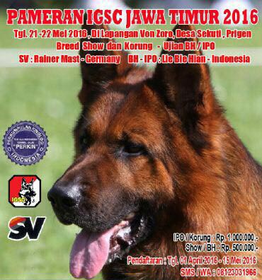 Pameran Anjing Herder - IGSC Jatim 2016