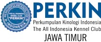 Dogs On The Road Perkin Jawa Timur