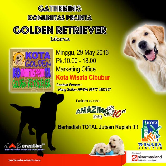 Gathering Pecinta Golden Retriever Jakarta