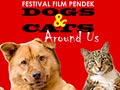 Festival Film Pendek Anjing & Kucing