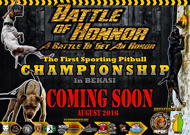 Battle Of Honnor
