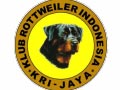 Pameran Anjing Rottweiler KRI Jakarta