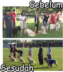 Liputan Weekend Training K9 Kennel (Foto+Video)