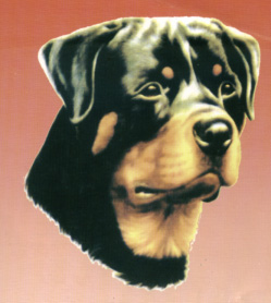 Pameran KRI Wilayah Jateng & DIY 2007