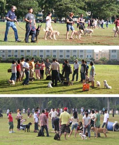 Pelatihan Anjing Bersama K9 DTC