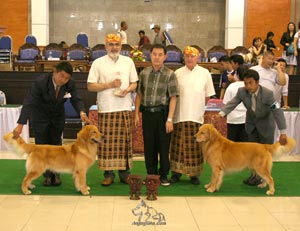 Bali Naik Kelas...!!!