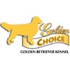 Golden Choice Kennel