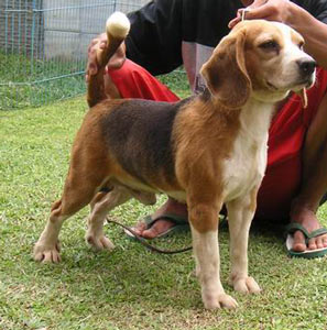 Menghenken Risky Bussiness