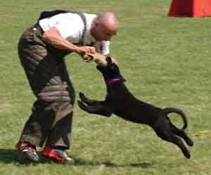 Melatih Insting Berburu (Bagian I)