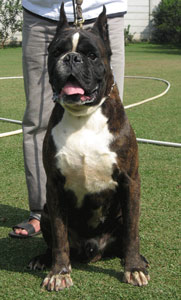 Lutero De las Arillas