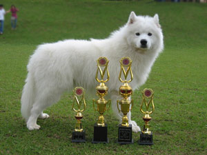 Cookie Von Princess Venus