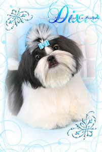 Majesty�s Tzar La�Princesca �Dixie�