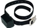 Anti Bark Collar
