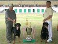 Rottweiler Terbaik Tahun 2007