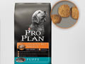 PROPLAN� DRY PUPPY FORMULA
