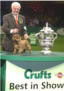 Hasil Pameran Crufts Dog Show