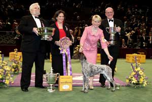 Hasil Pameran Westminster ke-129