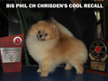 BIS.Phil.Ch Chrisden�s Cool Recall