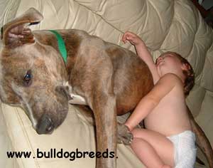 APBT Di Mata Orang Awam