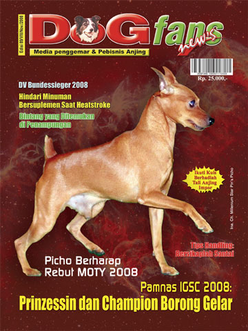 DOGfans News Edisi 89/November 2008