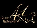 FourtyOneKennel.Com Reborn !!!