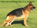 Amarta Kennel