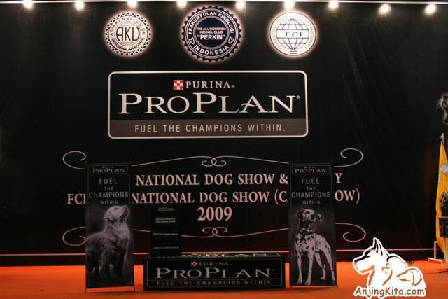 Liputan Pameran Perkin Akbar 2009