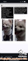 Open to adopt